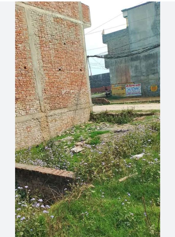 Plot For Sale in Sector 84