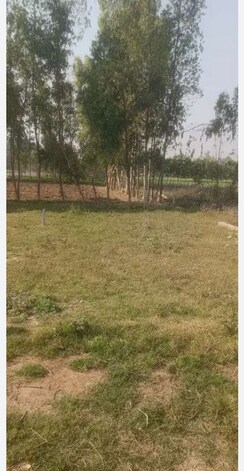 Plot For Sale in Sector 85