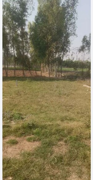  Plot For Sale in Sector 85