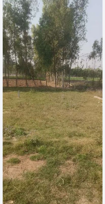 Plot For Sale in Sector 85