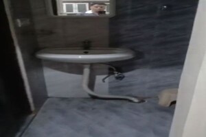 Bathroom in 1 BHK Apartment at Begumpet – for Rent