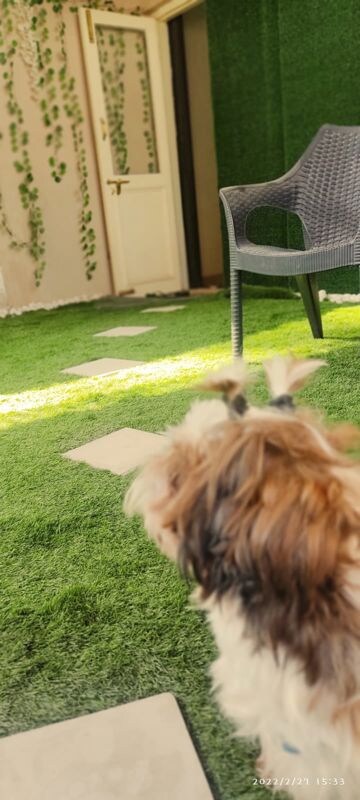 4 BHK Villa – Garden View at Gopalan Urban Woods, Brookefield - for Rent