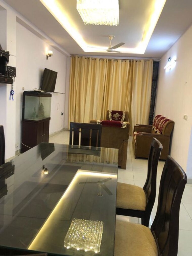 Living Room, dlf phase i 3 Bedroom 270 Sq.Yd. Builder Floor In Dlf Phase I Gurgaon 10114412