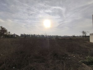  Plot For Sale in Pataudi