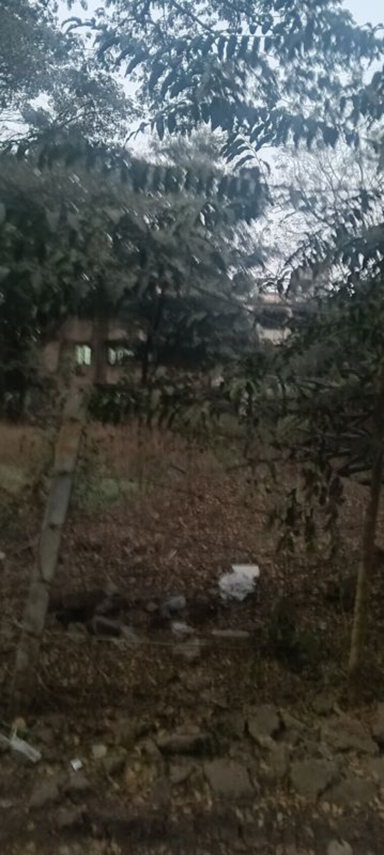 undefined, goldcrest-nilgiri-greens  2000 Sq.Yd. Plot In Aundh Pune 10114647