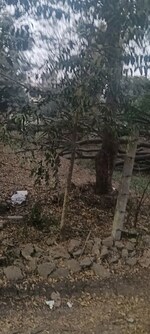 2000 Sq.Yd. Plot in Goldcrest Nilgiri Greens