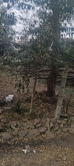  Plot For Sale in Goldcrest Nilgiri Greens, Aundh