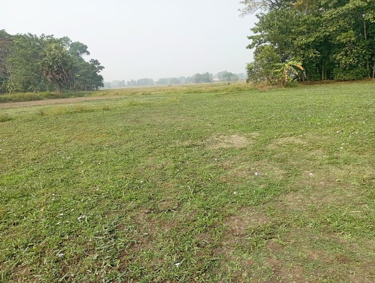 Exterior View, joka  1440 Sq.Ft. Plot In Joka Kolkata 10115237