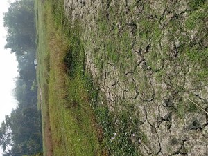  Plot – Exterior View View at Joka - for Sale