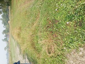  Plot – Exterior View View at Joka - for Sale