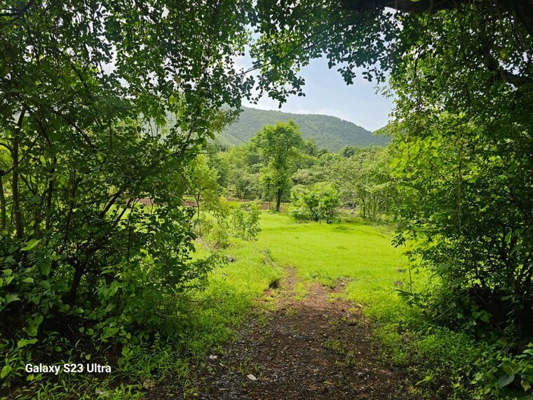 Garden, mahad Commercial Land 200 Acre In Mahad Raigad 10115423
