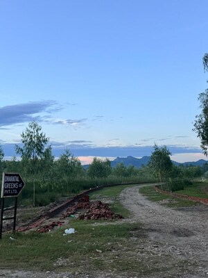 Plot Area in  Plot at Saharanpur Road – for Sale