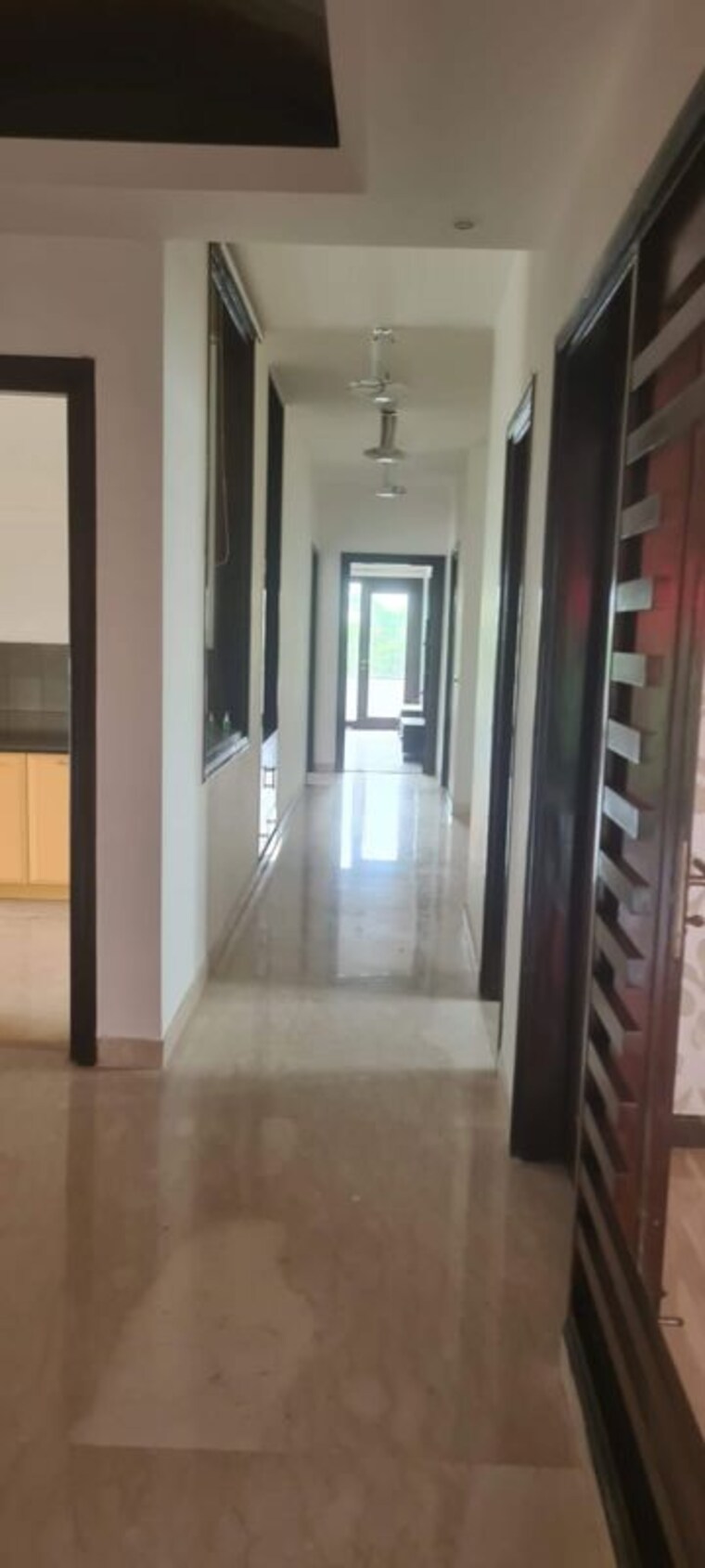 undefined, green park 4 Bedroom 800 Sq.Yd. Builder Floor In Green Park Delhi 10115756