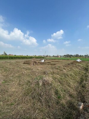  Plot For Sale in Milkipur