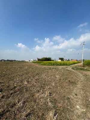 Plot Area in  Plot at Milkipur – for Sale