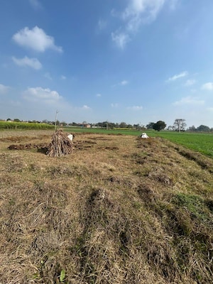 Plot Area in  Plot at Milkipur – for Sale