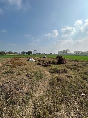 Plot Area in  Plot at Milkipur – for Sale