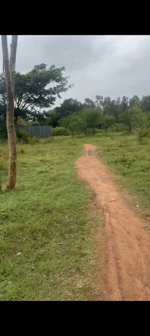 Plot Area in  Plot at VRR Fortuna, Sarjapur Road – for Sale