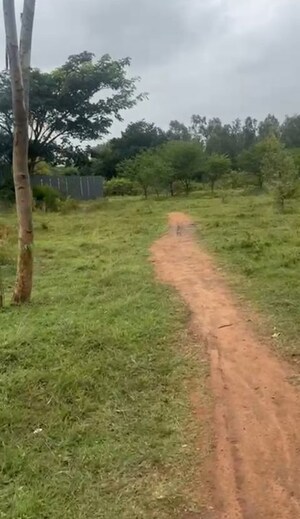 Plot Area in  Plot at VRR Fortuna, Sarjapur Road – for Sale