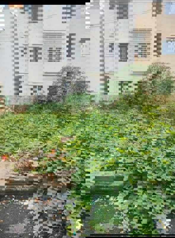 Plot For Sale in Frazer Apartments