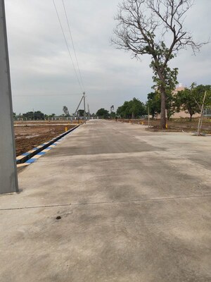 Plot Area in  Plot at Panjappur – for Sale