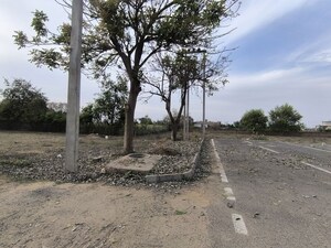  Plot For Sale in Pataudi