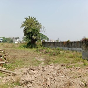 Plot Area in  Plot at Pahala – for Sale