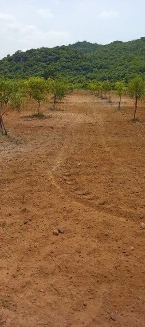 Plot Area in  Land at Mylavaram – for Sale