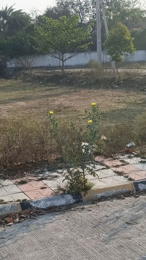 Plot Area in  Plot at Shamirpet – for Sale