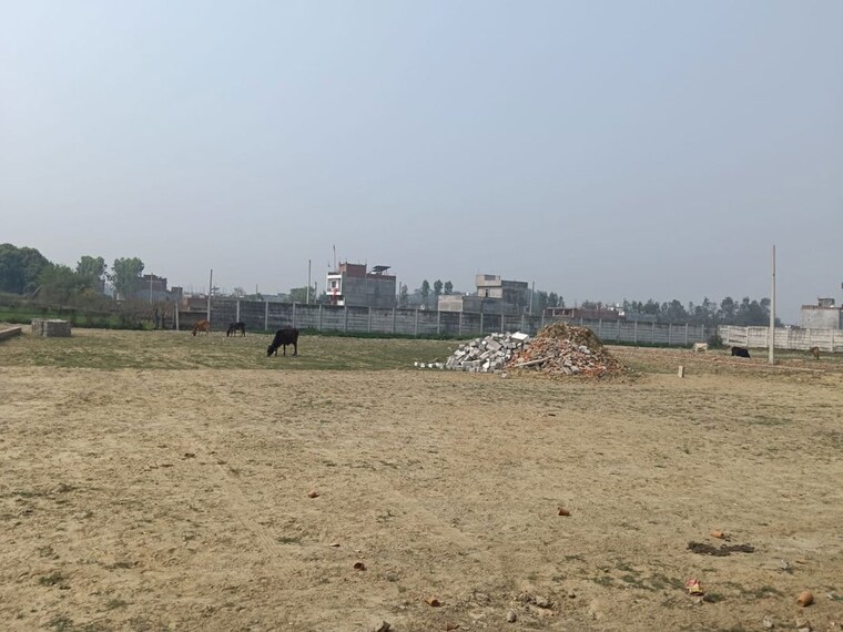 undefined, neelendras-amity-greens  1501 Sq.Ft. Plot In Gomti Nagar Lucknow 10116332