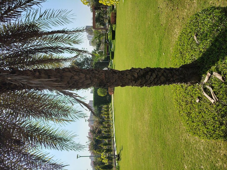 Garden, rambha-corona-greens  157 Sq.Yd. Plot In Sohna Sector 5 Gurgaon 10116507