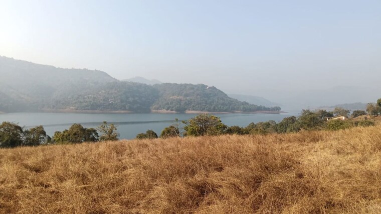 undefined, panshet  134000 Sq.Ft. Plot In Panshet Pune 10116531