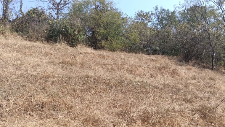 undefined, panshet  134000 Sq.Ft. Plot In Panshet Pune 10116531