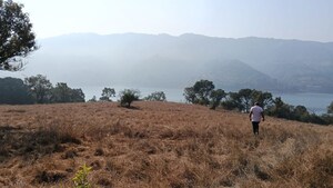 Plot Area in  Plot at Panshet – for Sale