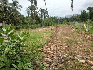  Plot For Sale in Kodibag