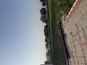  Plot For Sale in Sector 109