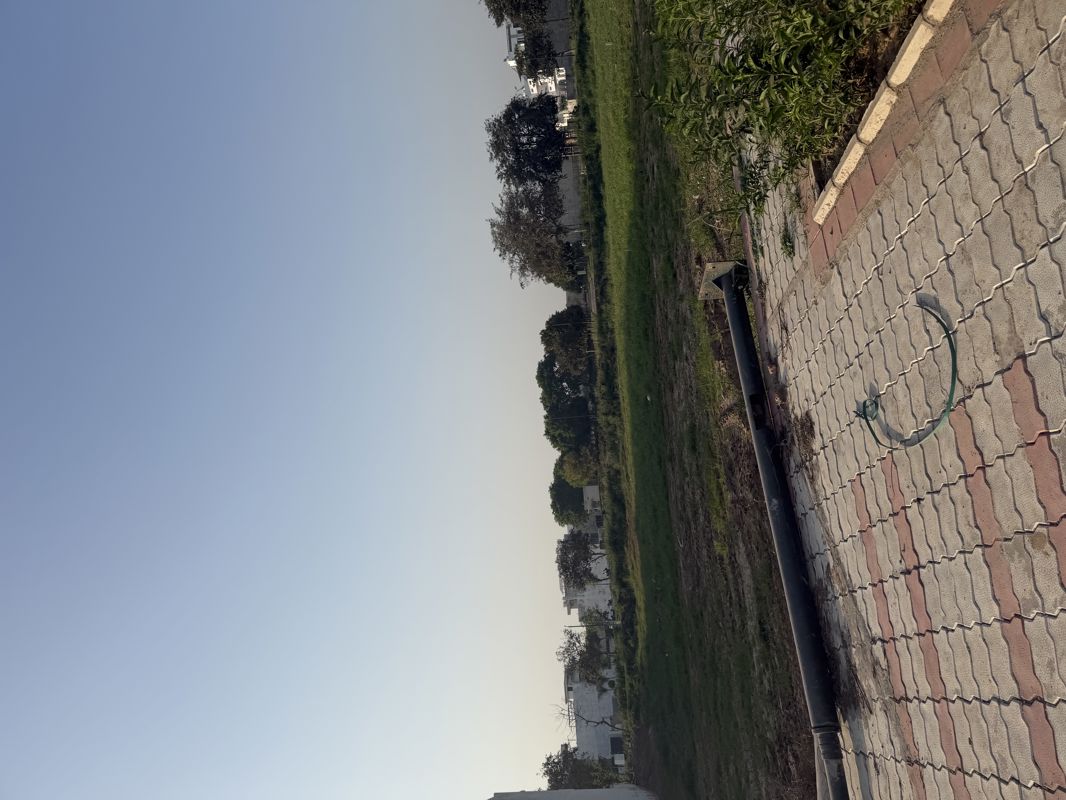 Plot For Sale in Sector 109