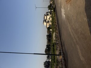   Plot at Sector 109 – for Sale