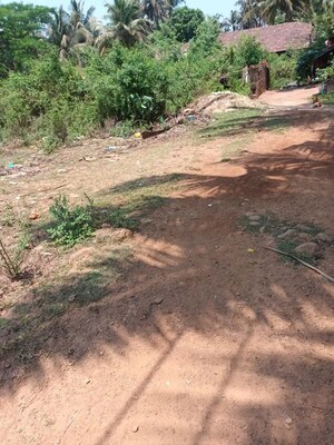  Plot For Sale in Kodibag