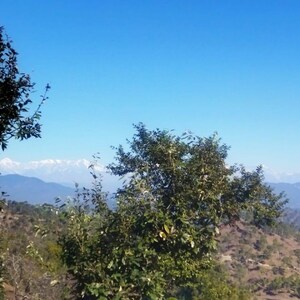  Plot – Garden View at Lamgara - for Sale