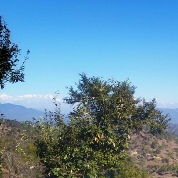  Plot – Garden View at Lamgara - for Sale