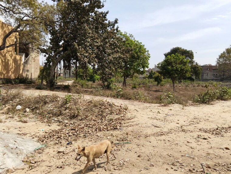 undefined, model town  110 Sq.Yd. Plot In Model Town Ghaziabad 10116710