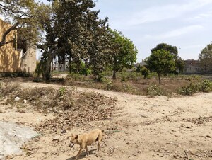 Plot Area in  Plot at Model Town – for Sale