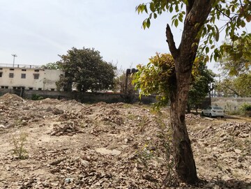 Plot Area in  Plot at Model Town – for Sale