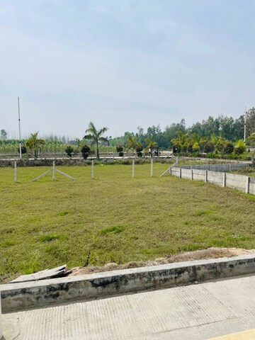  Plot For Sale in Biharigarh