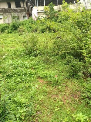  Plot For Sale in Majali