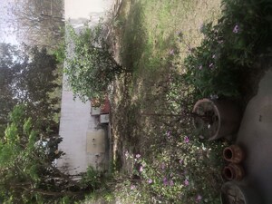 1 BHK Independent House – Garden View at Sector 9 - for Rent