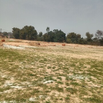 Plot Area in  Plot at Jalhupur – for Sale