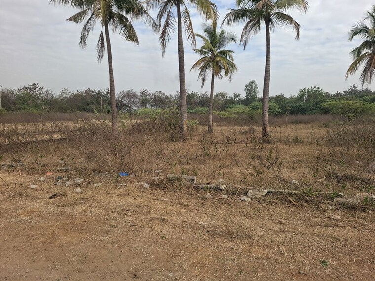 undefined, sangareddy  250 Sq.Yd. Plot In Sangareddy Hyderabad 10117388