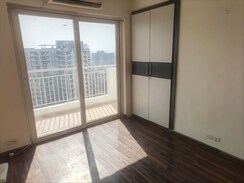 3 BHK + Servant Room Builder Floor For Rent in CHD Avenue 71